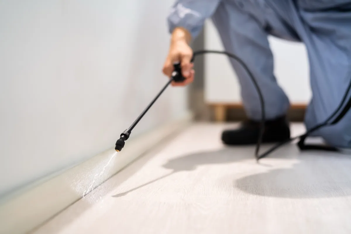 Close view of a crack and crevice treatment along a baseboard