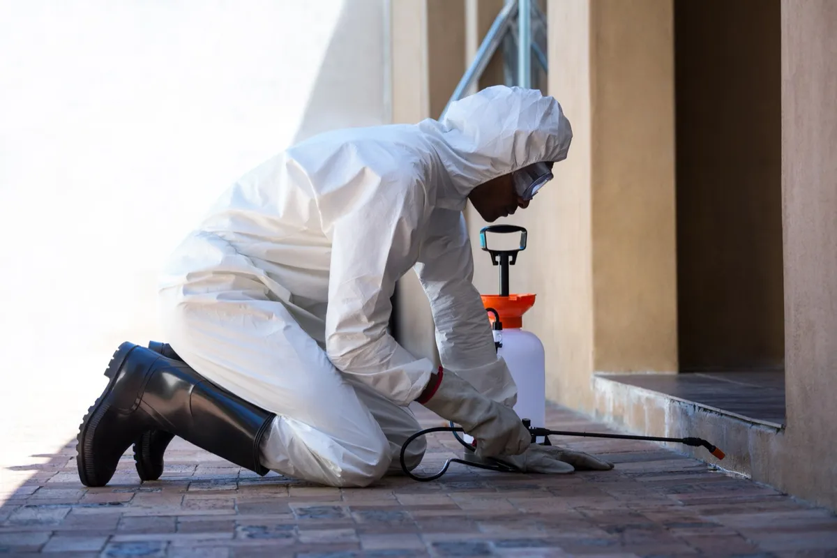 Technician applying an exterior perimeter pest treatment at a home entrance