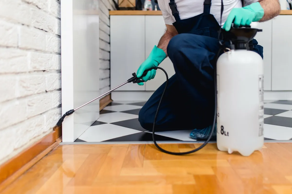 Technician applying a baseboard treatment along a kitchen floor