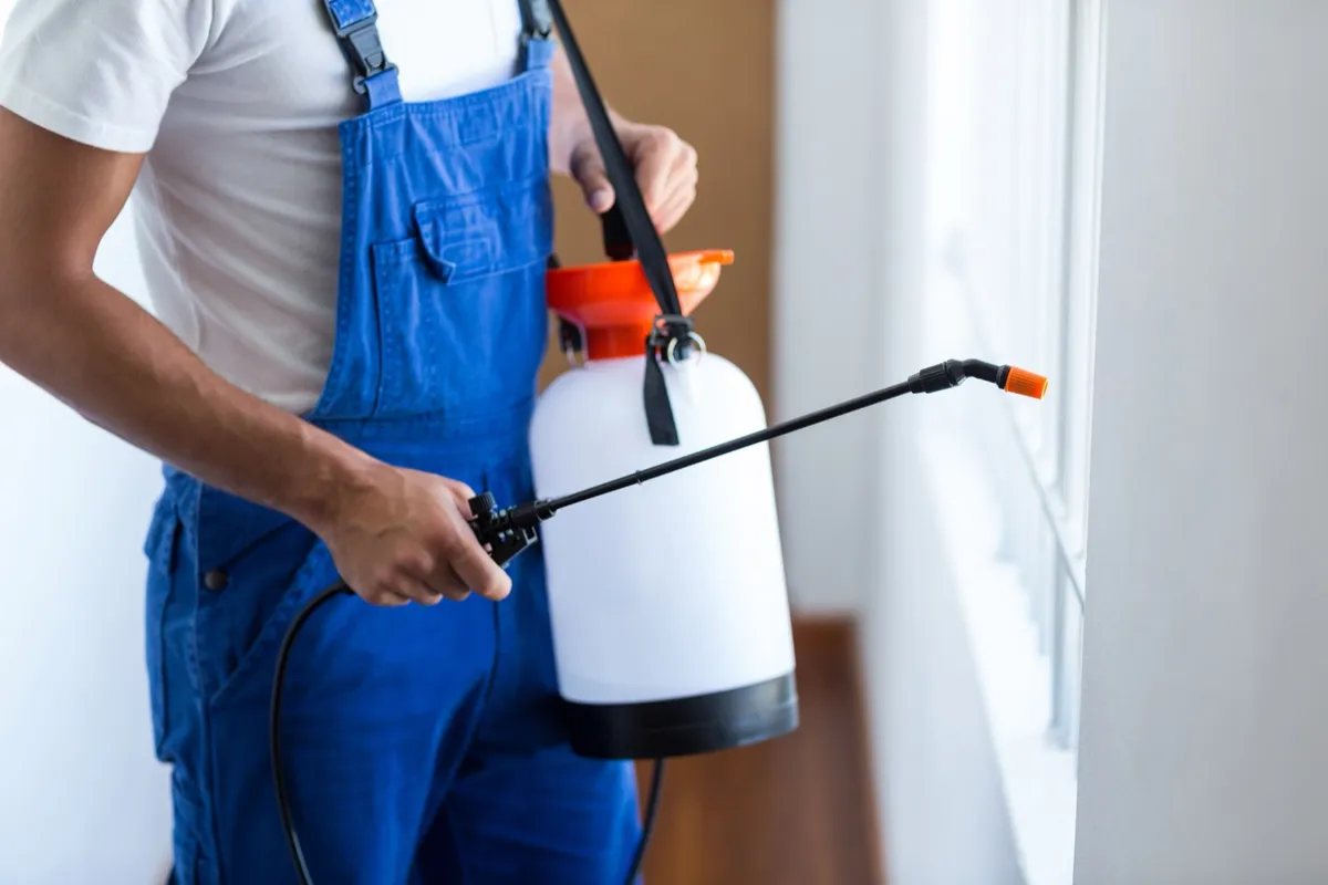 Technician performing an interior pest treatment near a window